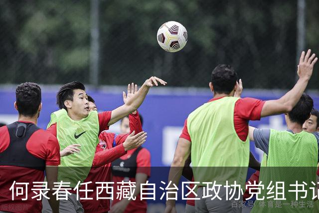 何录春任西藏自治区政协党组书记