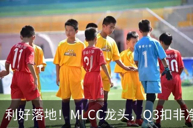 利好落地！MLCC龙头，Q3扣非净利大增192%