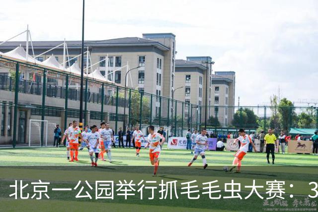 北京一公园举行抓毛毛虫大赛：3天抓了12万条，1天抓4000条只排第二；毛毛虫为啥这么多