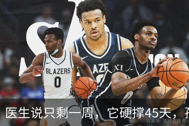 医生说只剩一周，它硬撑45天，孙俪的告别看哭了