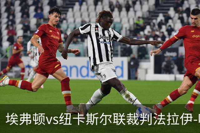 埃弗顿vs纽卡斯尔联裁判法拉伊-哈勒姆数据：近20场0红66黄6点