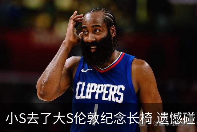 小S去了大S伦敦纪念长椅 遗憾碰到公园修整而错过