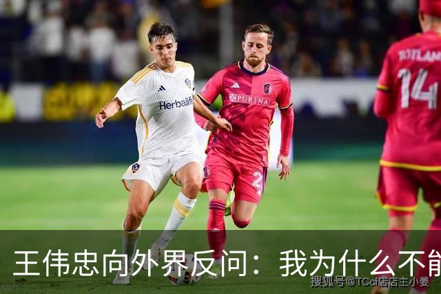 王伟忠向外界反问：我为什么不能访问沈伯洋？