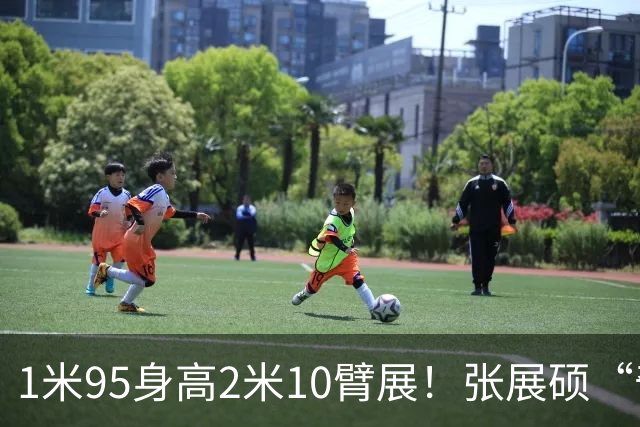 1米95身高2米10臂展！张展硕“奇迹之子”背后，父母基因有多强悍